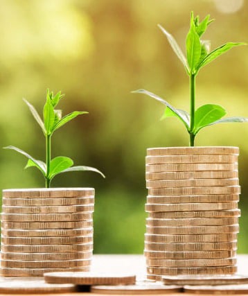 gestion de fortune à La Roche-sur-Yon